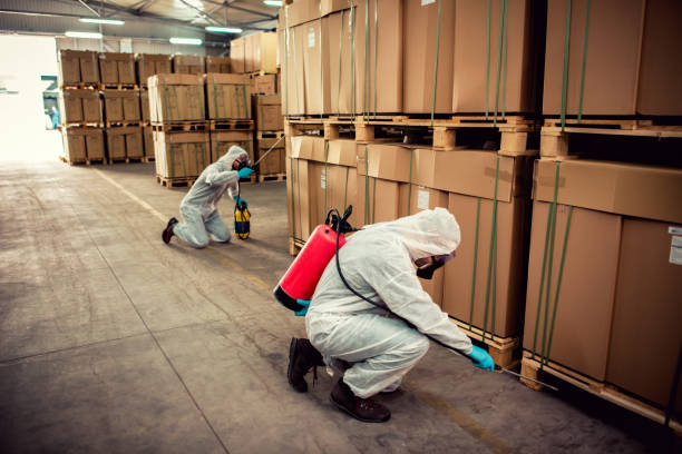 Best Exterminator Services  in North Plymouth, MA