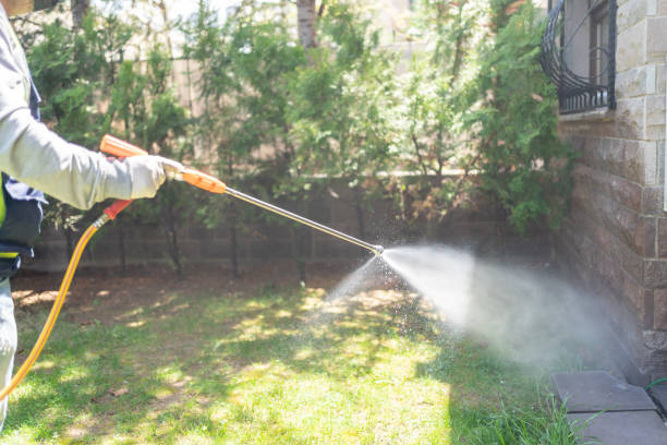 Best Mosquito Control Services  in North Plymouth, MA