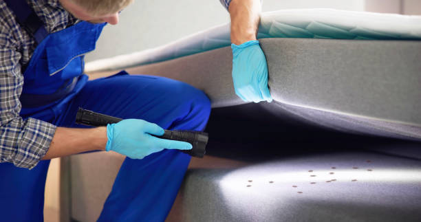 Best Affordable Pest Control Services  in North Plymouth, MA
